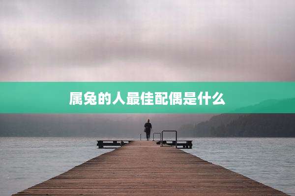 属兔的人最佳配偶是什么