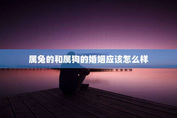 属兔的和属狗的婚姻应该怎么样
