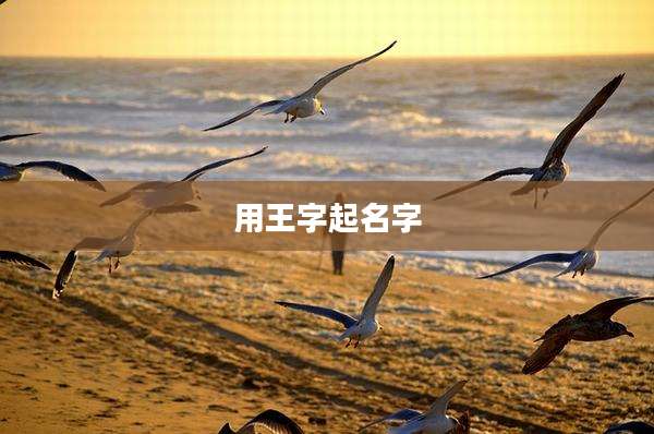 用王字起名字