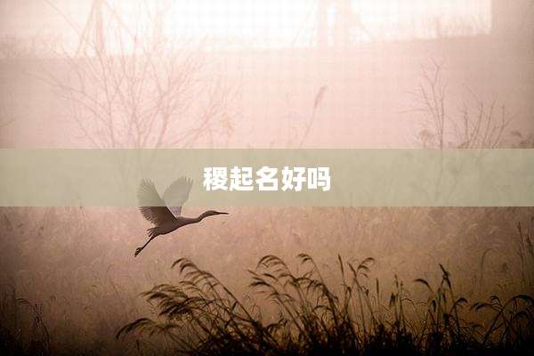 稷起名好吗