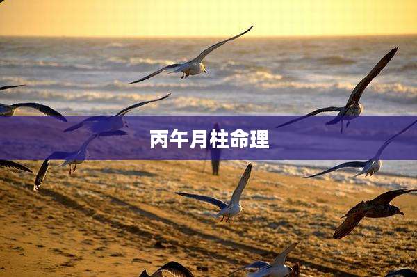 丙午月柱命理