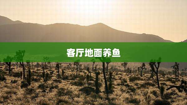 客厅地面养鱼
