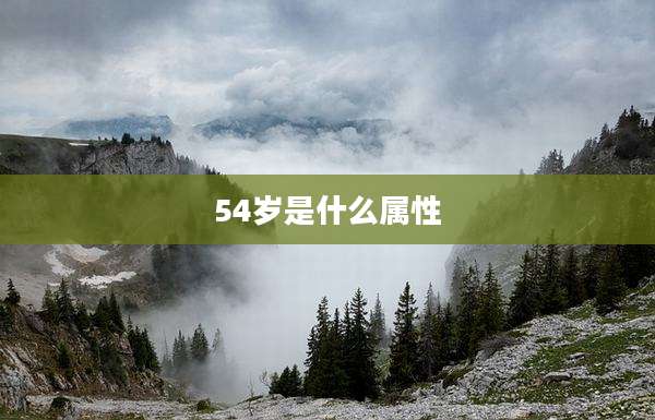 54岁是什么属性