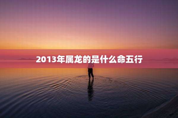 2013年属龙的是什么命五行