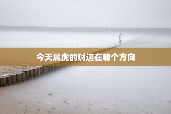 今天属虎的财运在哪个方向