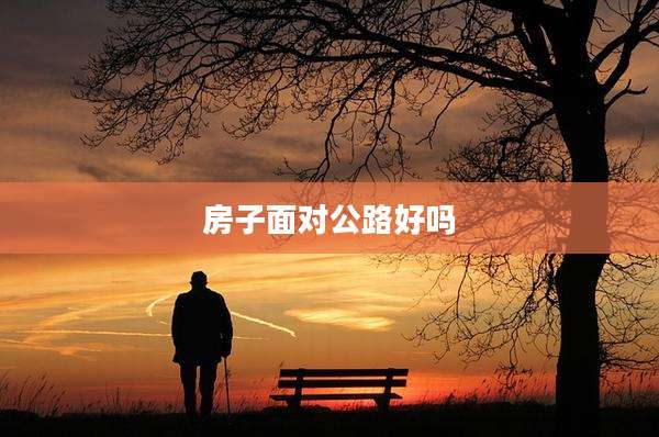 房子面对公路好吗