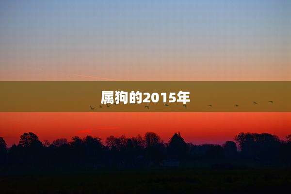 属狗的2015年