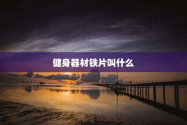 健身器材铁片叫什么