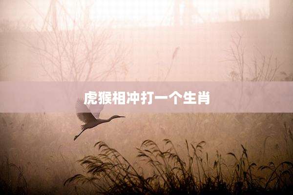虎猴相冲打一个生肖