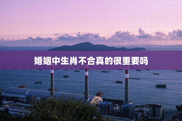 婚姻中生肖不合真的很重要吗