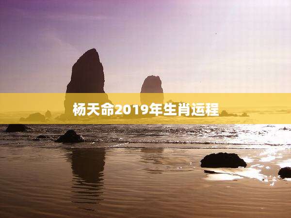 杨天命2019年生肖运程