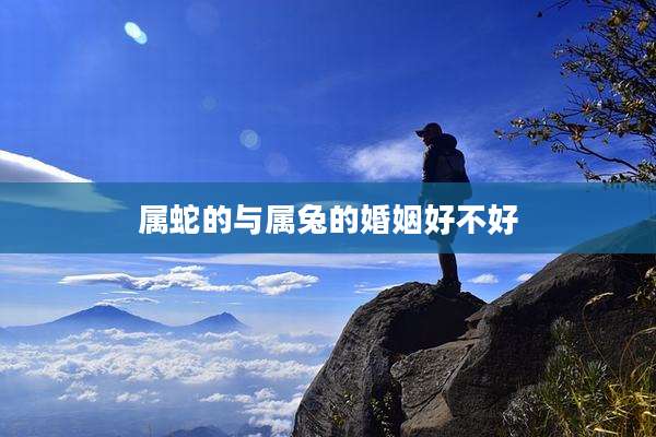 属蛇的与属兔的婚姻好不好