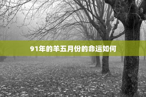 91年的羊五月份的命运如何