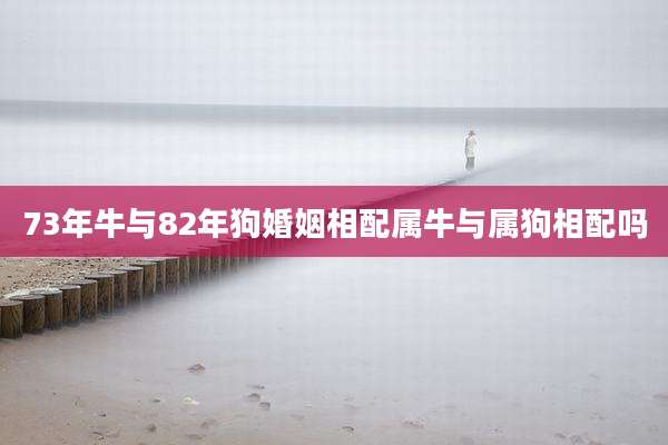 73年牛与82年狗婚姻相配属牛与属狗相配吗