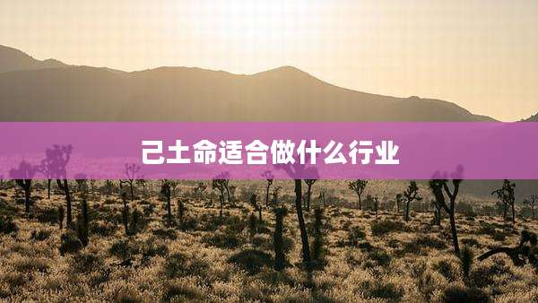 己土命适合做什么行业