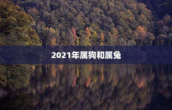 2021年属狗和属兔