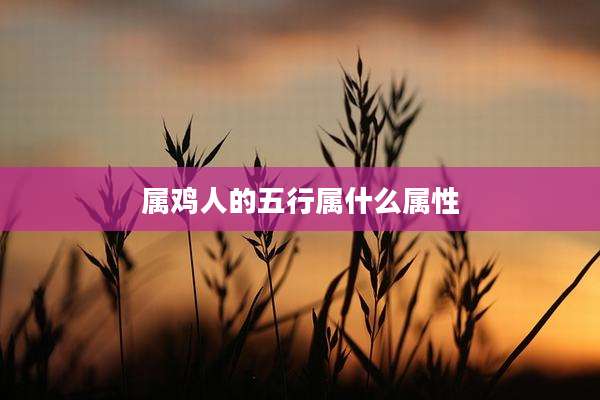 属鸡人的五行属什么属性