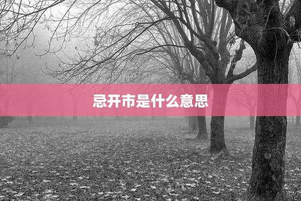 忌开市是什么意思