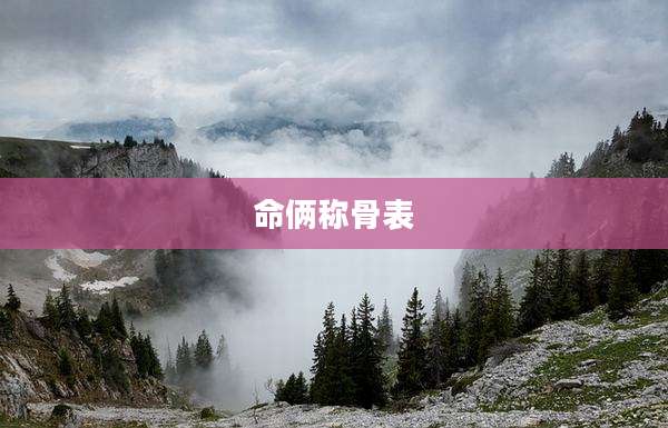 命俩称骨表