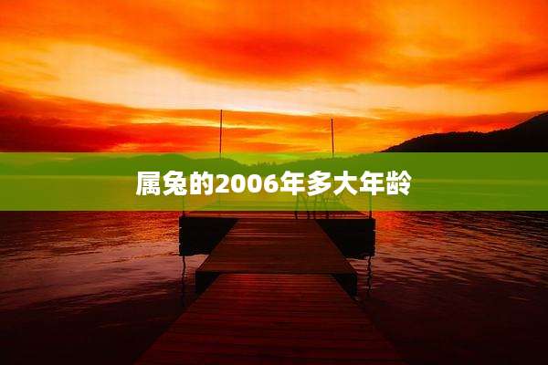 属兔的2006年多大年龄