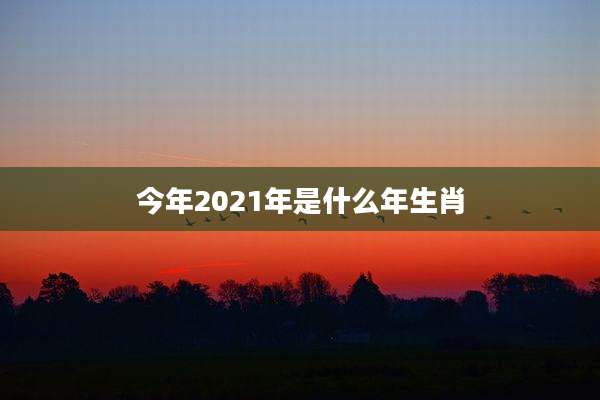 今年2021年是什么年生肖