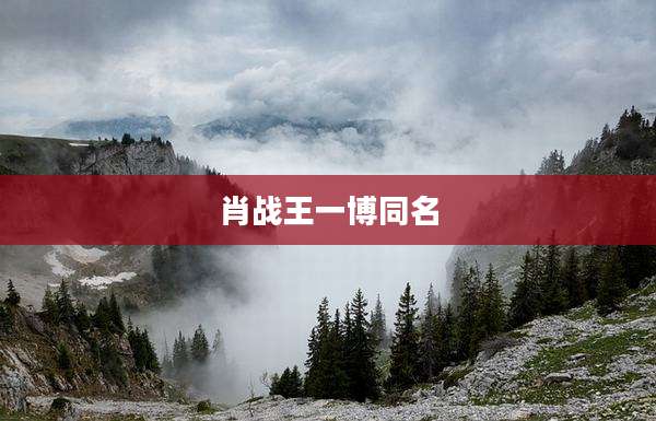 肖战王一博同名