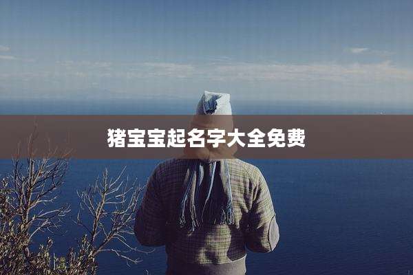 猪宝宝起名字大全免费