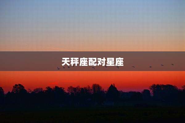 天秤座配对星座