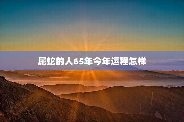 属蛇的人65年今年运程怎样