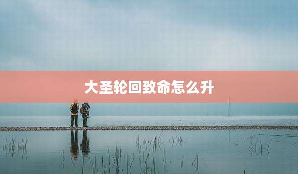 大圣轮回致命怎么升