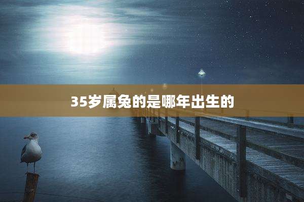 35岁属兔的是哪年出生的