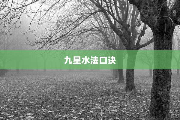 九星水法口诀
