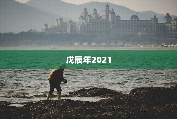 戊辰年2021