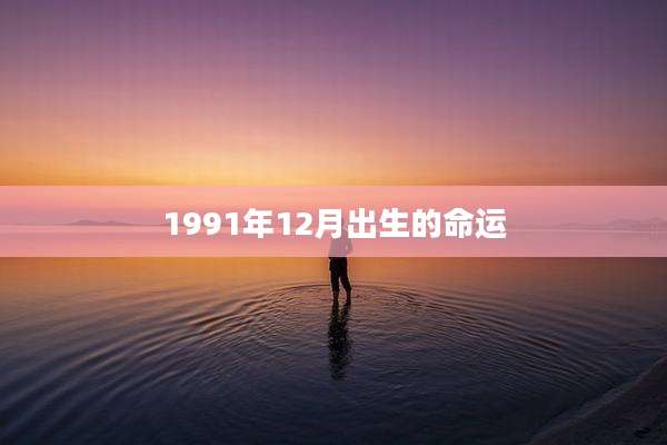 1991年12月出生的命运