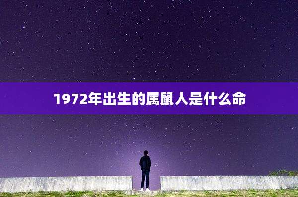 1972年出生的属鼠人是什么命