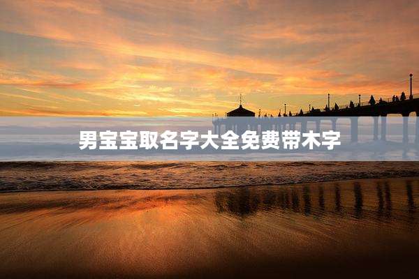 男宝宝取名字大全免费带木字