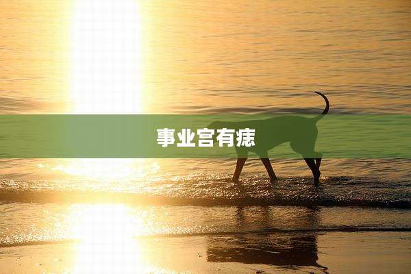 事业宫有痣