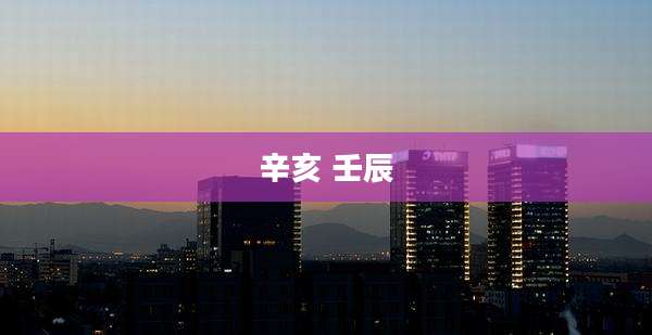 辛亥 壬辰