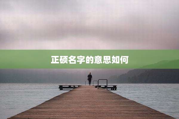 正硕名字的意思如何