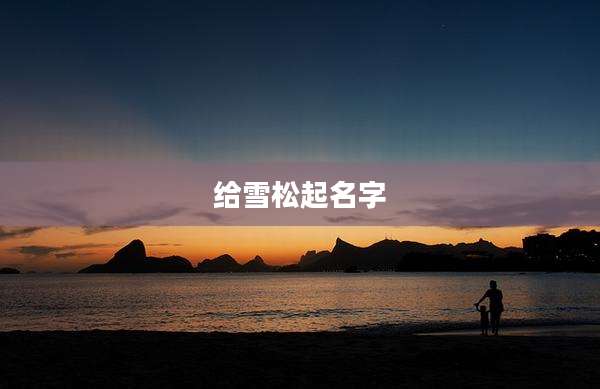 给雪松起名字