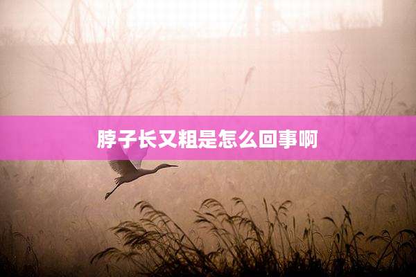 脖子长又粗是怎么回事啊