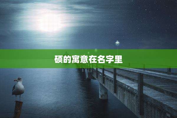 硕的寓意在名字里