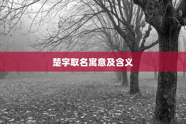 楚字取名寓意及含义