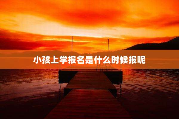小孩上学报名是什么时候报呢