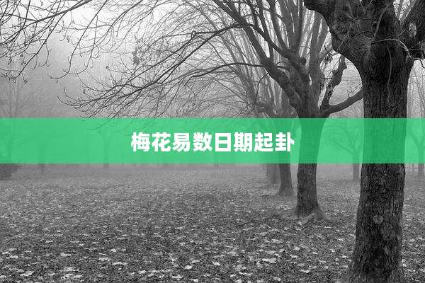 梅花易数日期起卦