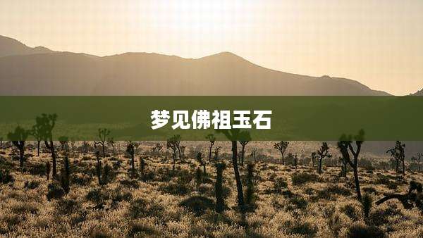 梦见佛祖玉石