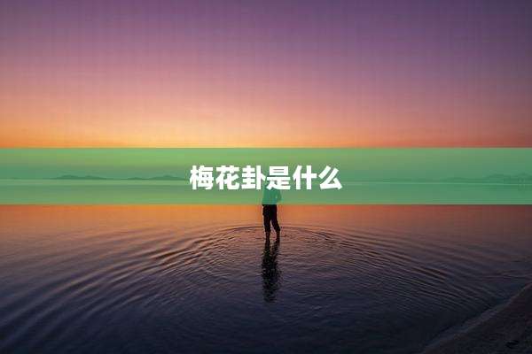 梅花卦是什么