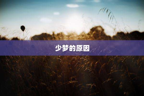 少梦的原因