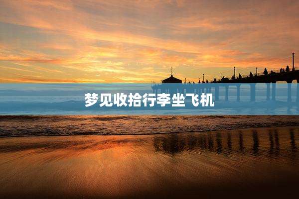梦见收拾行李坐飞机