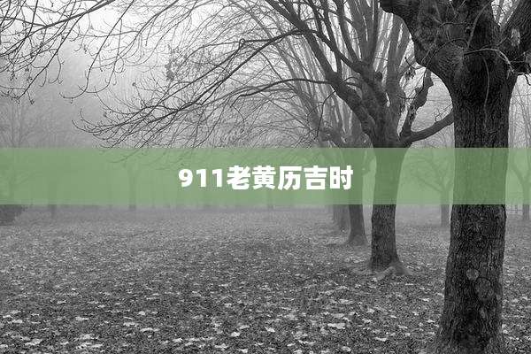 911老黄历吉时